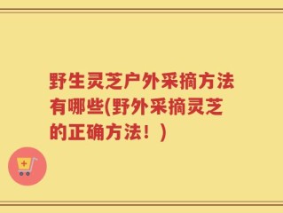 野生灵芝户外采摘方法有哪些(野外采摘灵芝的正确方法！)