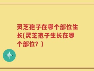 灵芝孢子在哪个部位生长(灵芝孢子生长在哪个部位？)