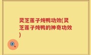 灵芝莲子炖鸭功效(灵芝莲子炖鸭的神奇功效)