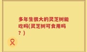 多年生很大的灵芝树能吃吗(灵芝树可食用吗？)