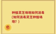 种植灵芝场地如何消毒(如何消毒灵芝种植场地？)