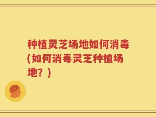 种植灵芝场地如何消毒(如何消毒灵芝种植场地？)