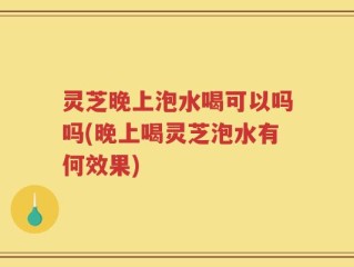 灵芝晚上泡水喝可以吗吗(晚上喝灵芝泡水有何效果)