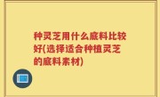 种灵芝用什么底料比较好(选择适合种植灵芝的底料素材)