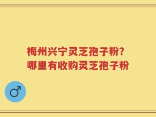 梅州兴宁灵芝孢子粉？哪里有收购灵芝孢子粉