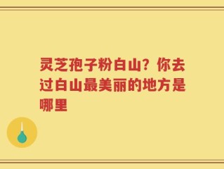 灵芝孢子粉白山？你去过白山最美丽的地方是哪里