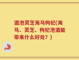 酒泡灵芝海马枸杞(海马、灵芝、枸杞泡酒能带来什么好处？)