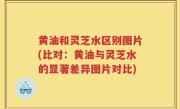 黄油和灵芝水区别图片(比对：黄油与灵芝水的显著差异图片对比)