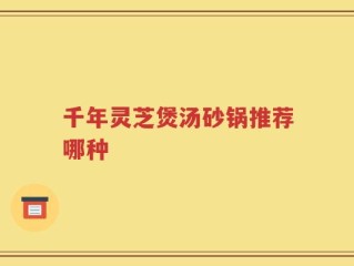 千年灵芝煲汤砂锅推荐哪种