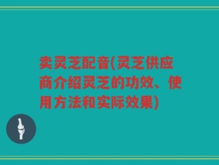 卖灵芝配音(灵芝供应商介绍灵芝的功效、使用方法和实际效果)