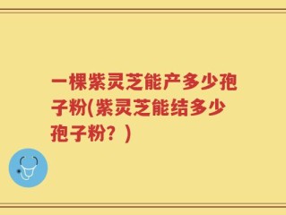 一棵紫灵芝能产多少孢子粉(紫灵芝能结多少孢子粉？)