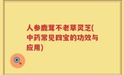 人参鹿茸不老草灵芝(中药常见四宝的功效与应用)