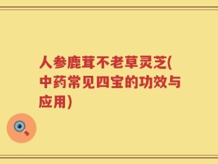 人参鹿茸不老草灵芝(中药常见四宝的功效与应用)