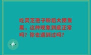 吃灵芝孢子粉后大便发黑，这种现象到底正常吗？你也遇到过吗？