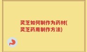 灵芝如何制作为药材(灵芝药用制作方法)
