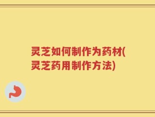 灵芝如何制作为药材(灵芝药用制作方法)