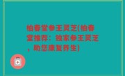 柏春堂参王灵芝(柏春堂推荐：独家参王灵芝，助您康复养生)