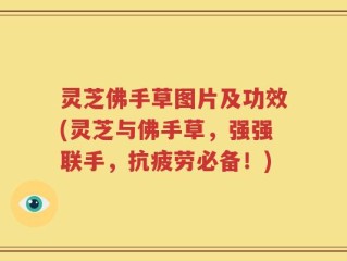灵芝佛手草图片及功效(灵芝与佛手草，强强联手，抗疲劳必备！)