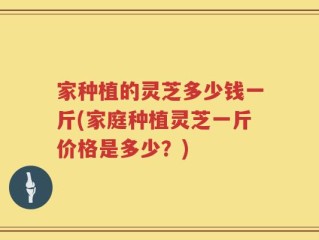 家种植的灵芝多少钱一斤(家庭种植灵芝一斤价格是多少？)