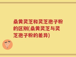 桑黄灵芝和灵芝孢子粉的区别(桑黄灵芝与灵芝孢子粉的差异)