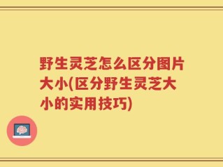 野生灵芝怎么区分图片大小(区分野生灵芝大小的实用技巧)