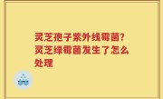 灵芝孢子紫外线霉菌？灵芝绿霉菌发生了怎么处理