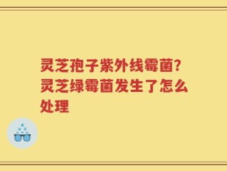 灵芝孢子紫外线霉菌？灵芝绿霉菌发生了怎么处理