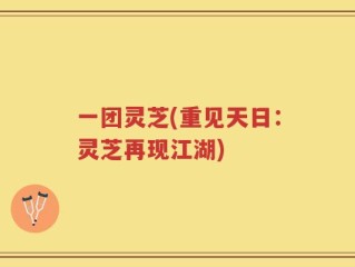 一团灵芝(重见天日：灵芝再现江湖)