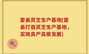 霍县灵芝生产基地(霍县打造灵芝生产基地，实现高产高质发展)