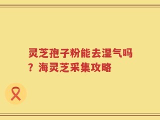 灵芝孢子粉能去湿气吗？海灵芝采集攻略