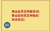黄山区灵芝种植采访(黄山区的灵芝种植业：采访实况)