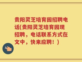 贵阳灵芝培育园招聘电话(贵阳灵芝培育园现招聘，电话联系方式在文中，快来应聘！)