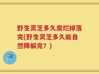 野生灵芝多久腐烂掉落完(野生灵芝多久能自然降解完？)