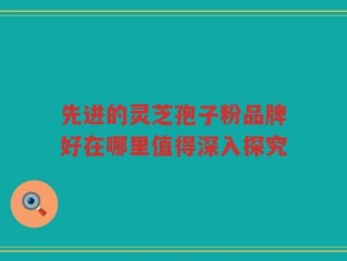 先进的灵芝孢子粉品牌好在哪里值得深入探究