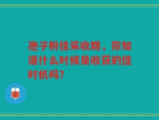 孢子粉佳采收期，你知道什么时候是收获的佳时机吗？