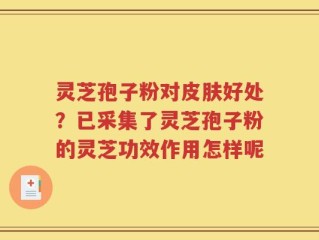 灵芝孢子粉对皮肤好处？已采集了灵芝孢子粉的灵芝功效作用怎样呢