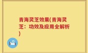 青海灵芝效果(青海灵芝：功效及应用全解析)