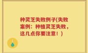 种灵芝失败例子(失败案例：种植灵芝失败，这几点你要注意！)