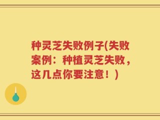 种灵芝失败例子(失败案例：种植灵芝失败，这几点你要注意！)