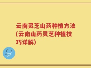 云南灵芝山药种植方法(云南山药灵芝种植技巧详解)