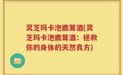 灵芝玛卡泡鹿茸酒(灵芝玛卡泡鹿茸酒：拯救你的身体的天然良方)