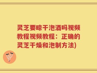 灵芝要晾干泡酒吗视频教程视频教程：正确的灵芝干燥和泡制方法)