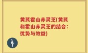 黄芪霍山赤灵芝(黄芪和霍山赤灵芝的结合：优势与效益)