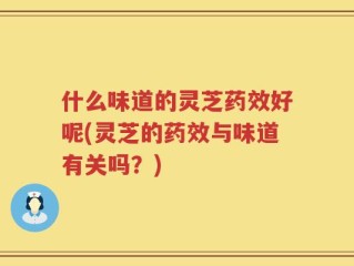 什么味道的灵芝药效好呢(灵芝的药效与味道有关吗？)