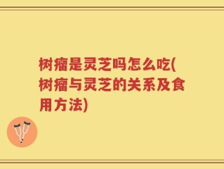 树瘤是灵芝吗怎么吃(树瘤与灵芝的关系及食用方法)