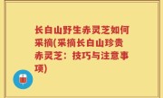 长白山野生赤灵芝如何采摘(采摘长白山珍贵赤灵芝：技巧与注意事项)