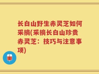长白山野生赤灵芝如何采摘(采摘长白山珍贵赤灵芝：技巧与注意事项)