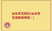 山东灵芝网红(山东灵芝成网络明星！)