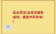 出谷灵芝(谷灵芝催芽成功，重塑中药市场！)
