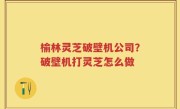 榆林灵芝破壁机公司？破壁机打灵芝怎么做